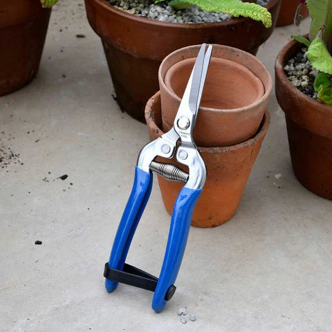 Pruning & Cutting