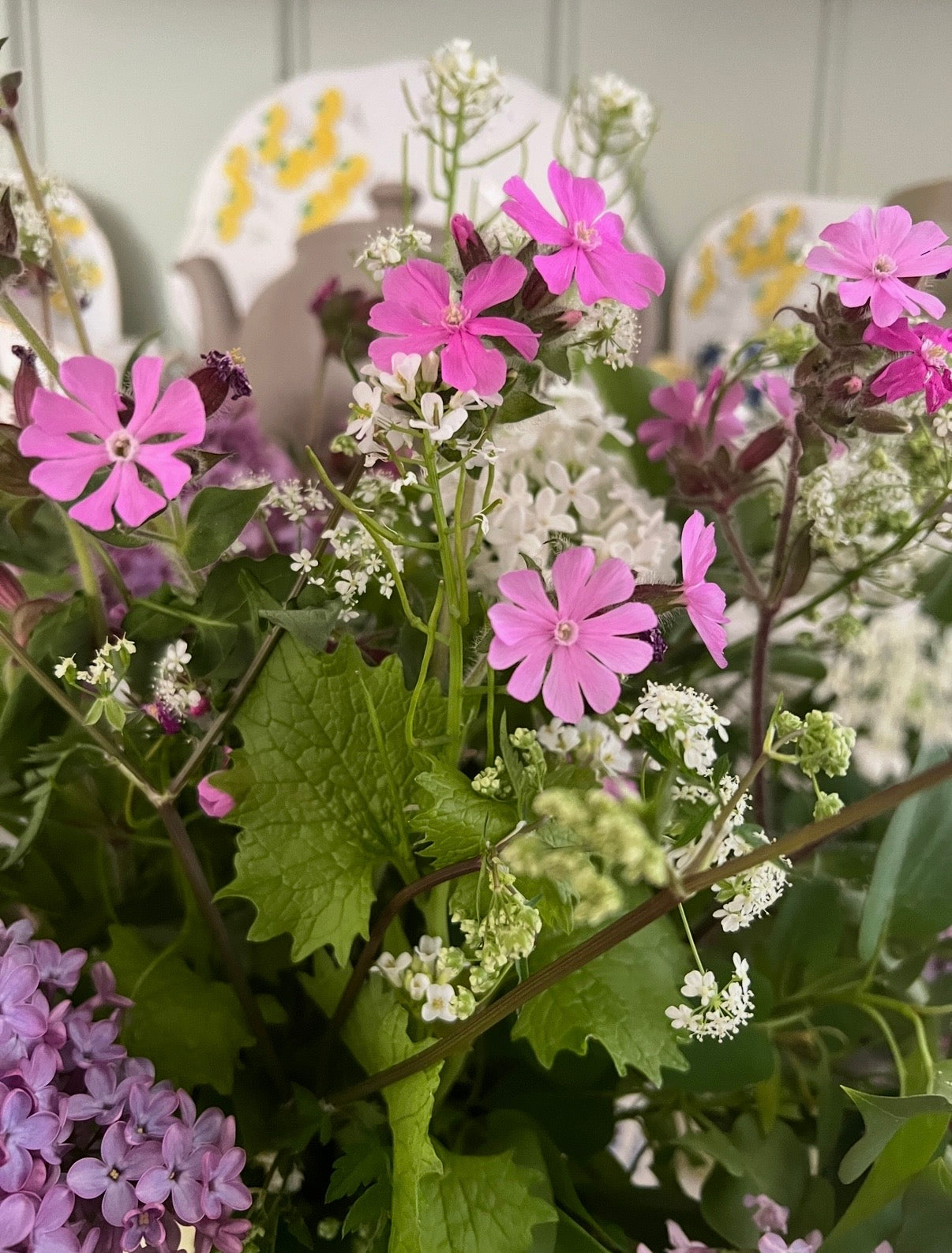 A close-up of Red Campion by Bishy Barnabees Cottage Garden shows pink native wildflowers with green leaves against a blurred background featuring a white chair with yellow floral designs—ideal for a wildlife-friendly garden.
