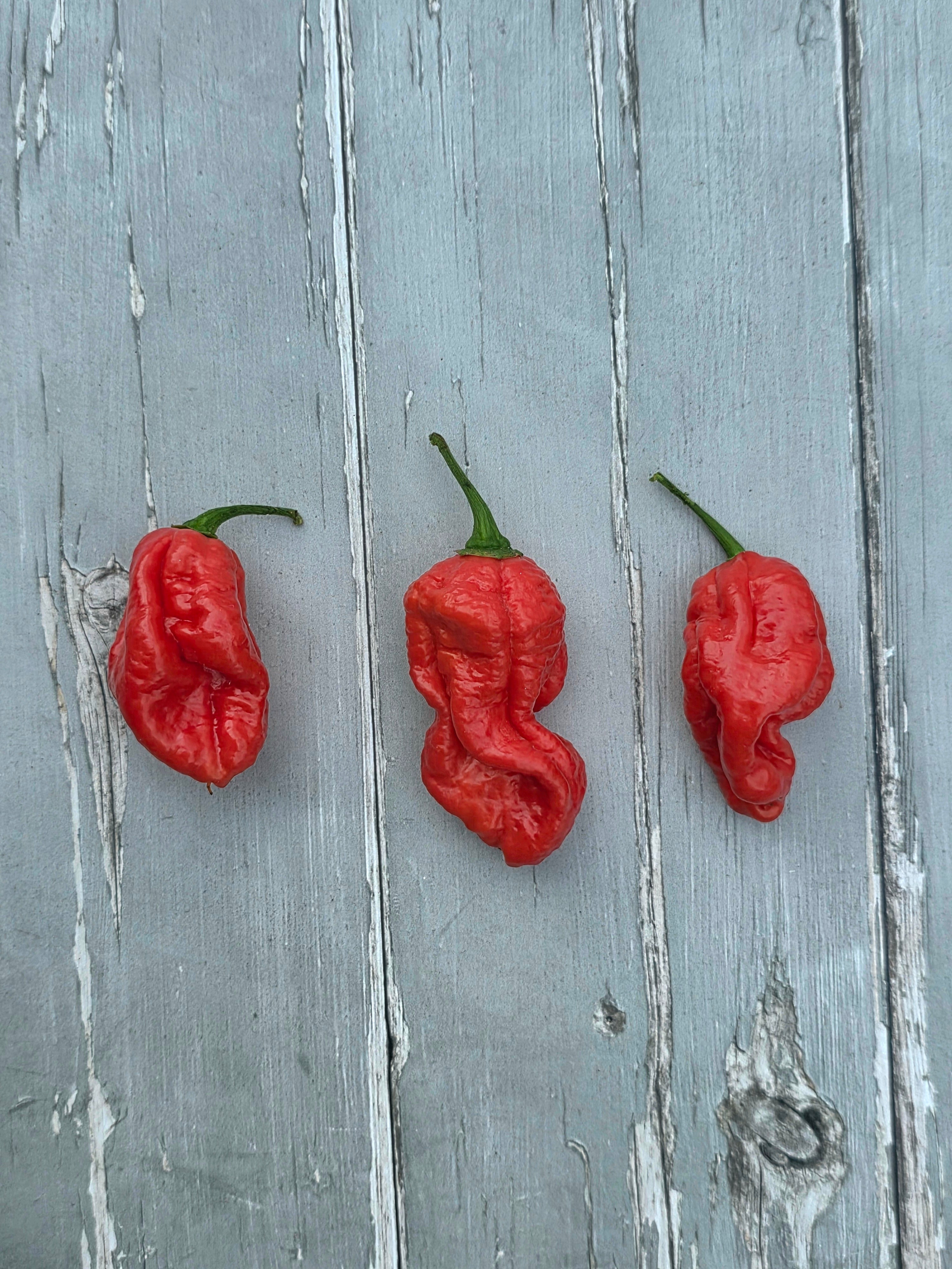 Bengle Naga Chilli