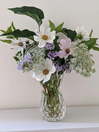 Cosmos Purity by Bishy Barnabees Cottage Garden features white and pale purple moon garden flowers with green leaves in a patterned clear glass vase, set against a plain light background.