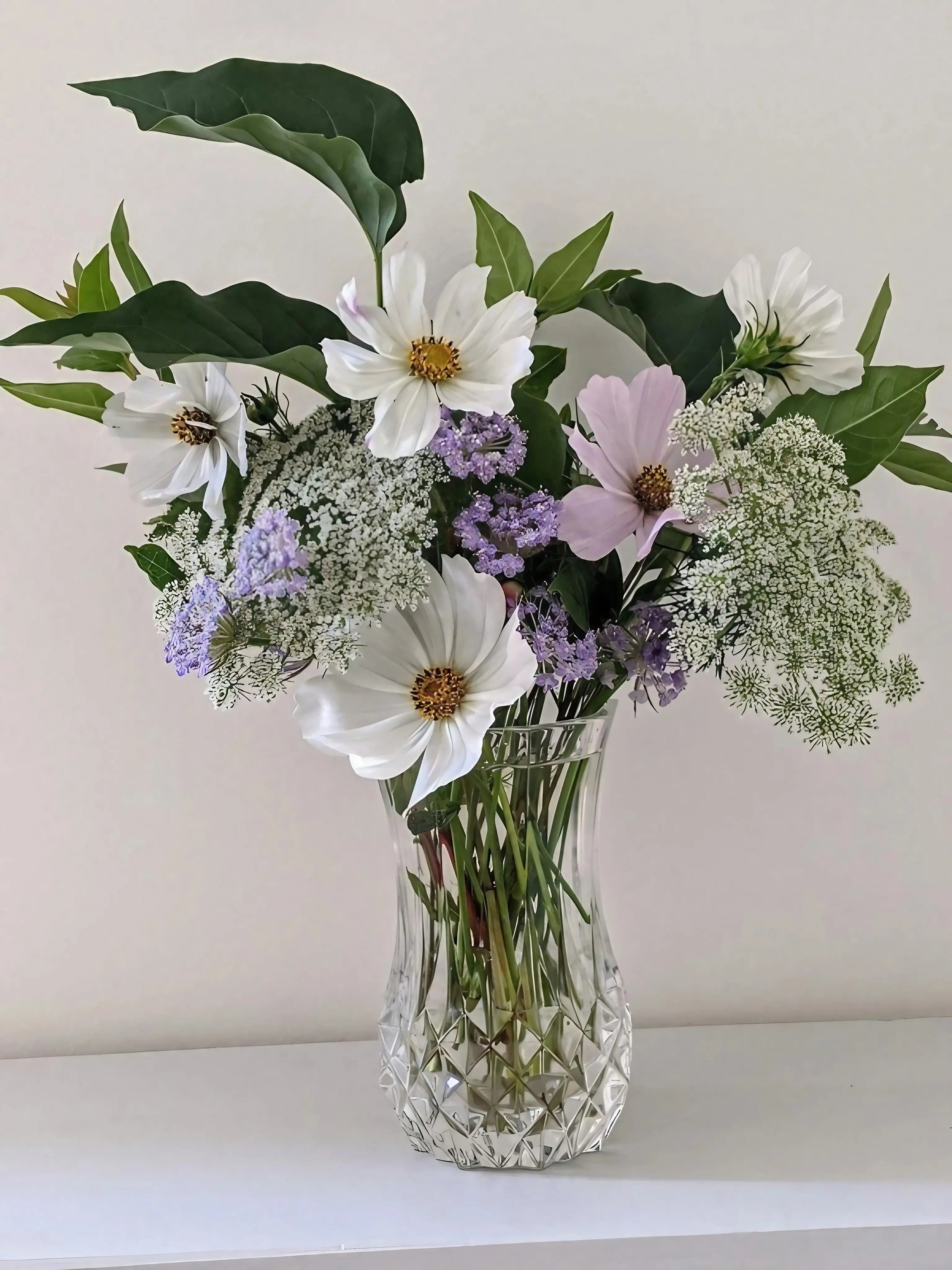 Cosmos Purity - Bishy Barnabees Cottage Garden Ltd