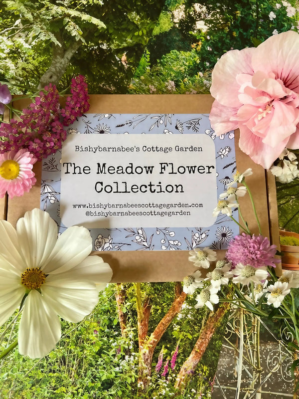 A box labeled "The Meadow Flower Collection" by Bishy Barnabees Cottage Garden sits amid colorful native flowers and wildflower seeds, with a garden in the background.