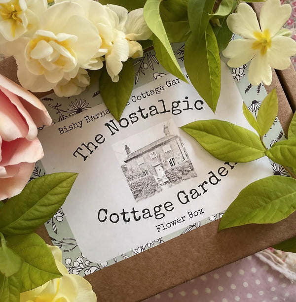A box labeled The Nostalgic Cottage Garden Flower Box - 12 Packs by Bishy Barnabees Cottage Garden, filled with heritage flower seeds and surrounded by pink and white flowers with green leaves, rests on a floral-patterned surface.