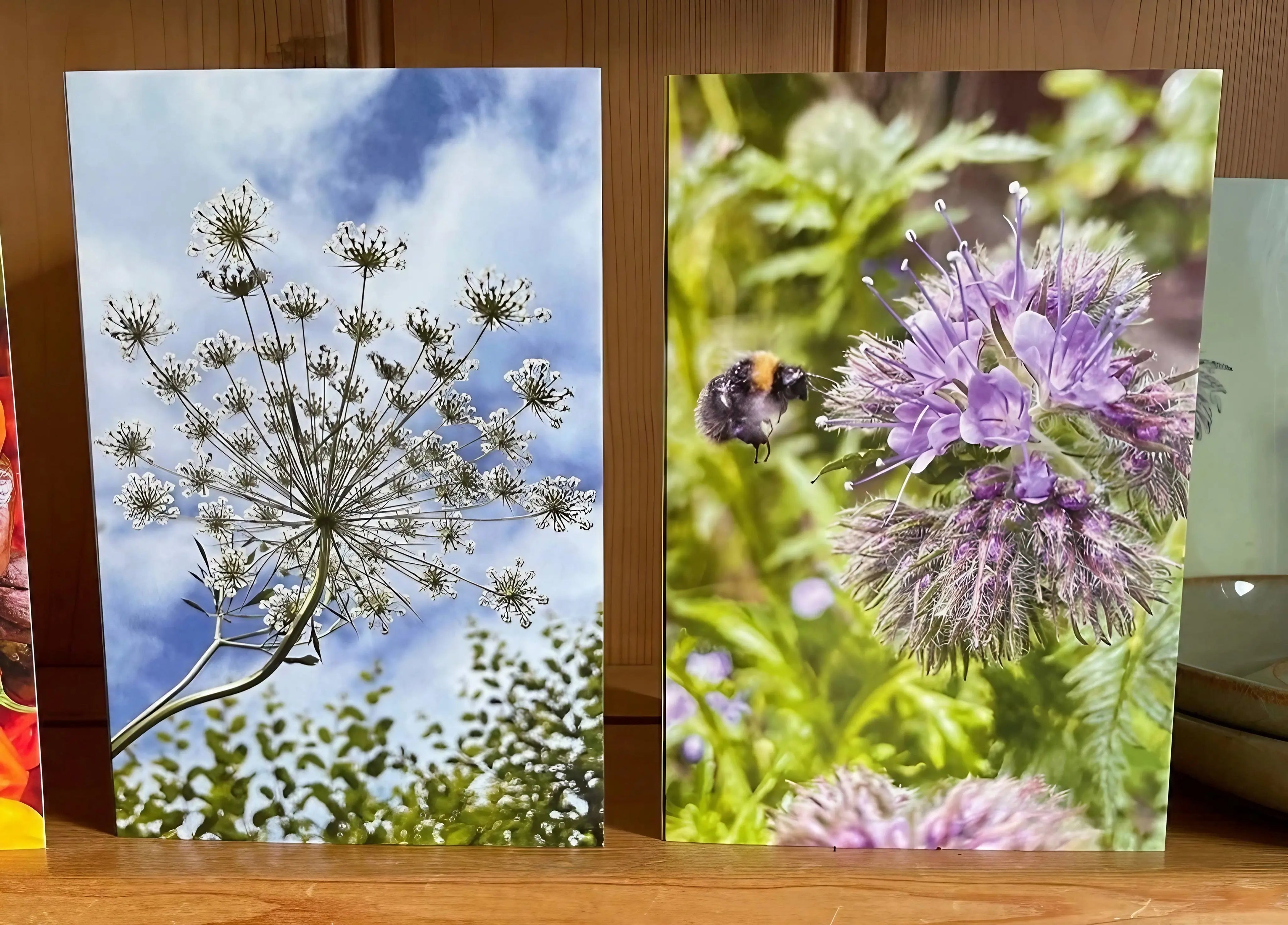 Close-up of a bee on a purple Phacelia flower on a greetings card.