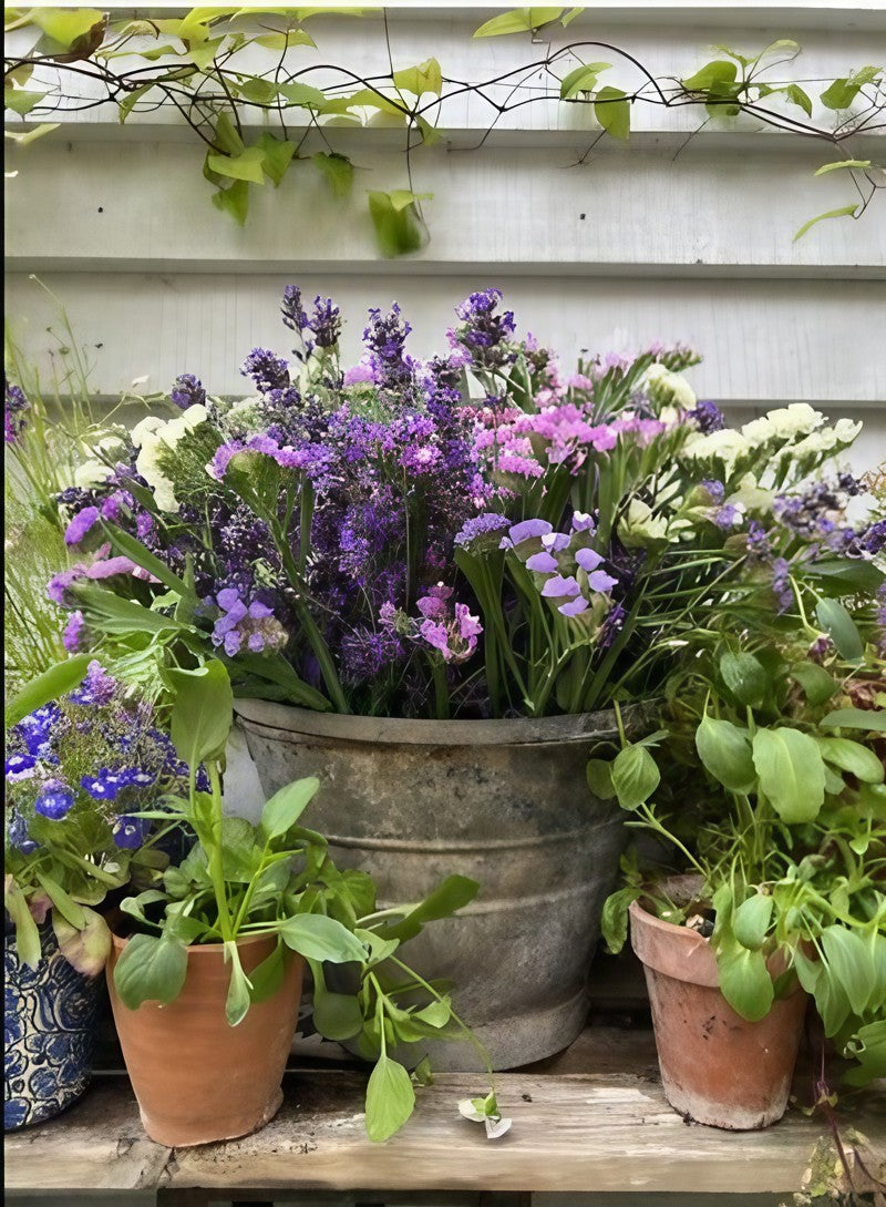 A container of Statice Mixed flowers featuring shades of purple and white, displayed on a wooden surface