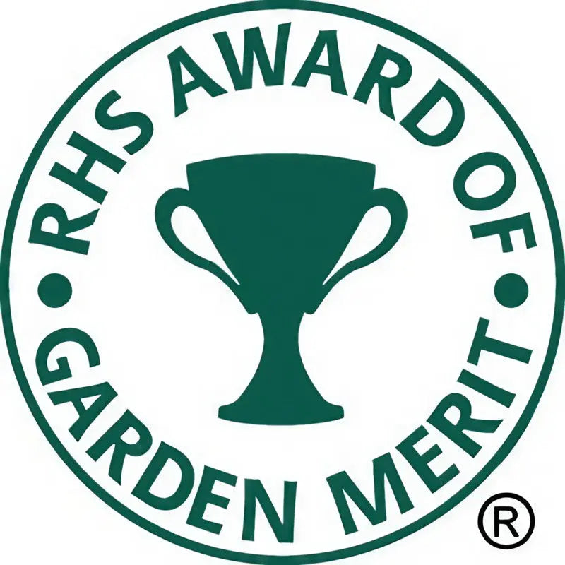 The green and white circular logo with a central trophy and “RHS Award of Garden Merit” text identifies Nigella hispanica seeds from Bishy Barnabees Cottage Garden—ideal for their striking architectural seed pods. Registered trademark at bottom right.