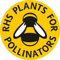 A yellow circular badge with a black and white bee in the center reads "RHS PLANTS FOR POLLINATORS"—ideal for supporting pollinators when choosing Corncockle Bianca seeds by Bishy Barnabees Cottage Garden Ltd.
