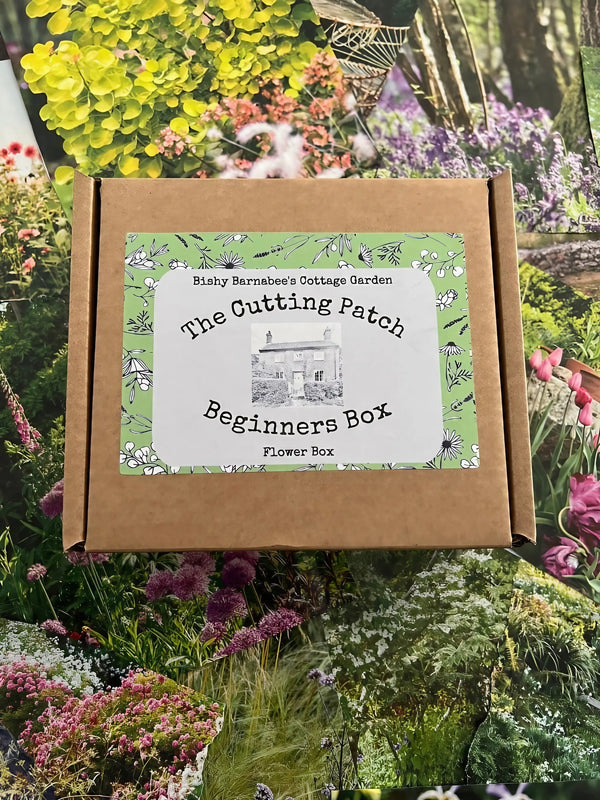 A cardboard box labeled "The Cutting Patch Beginners Flower Box" from Bishy Barnabees Cottage Garden sits on colorful floral backgrounds, featuring a green floral border and cottage illustration—ideal for beginner cut flower growers.