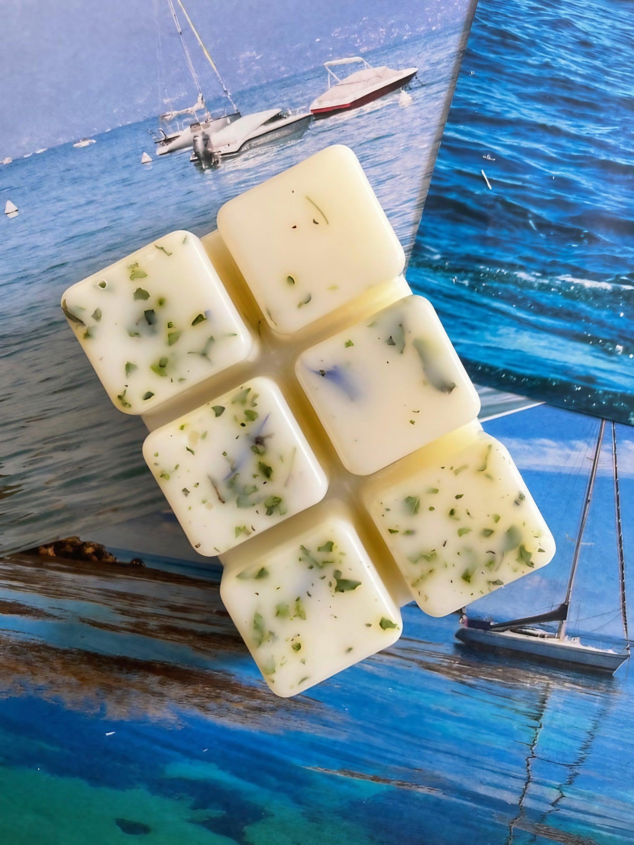 Rock Salt & Driftwood Botanical Wax Melt Bar, infused with fresh coastal scents and flecks of herbs.