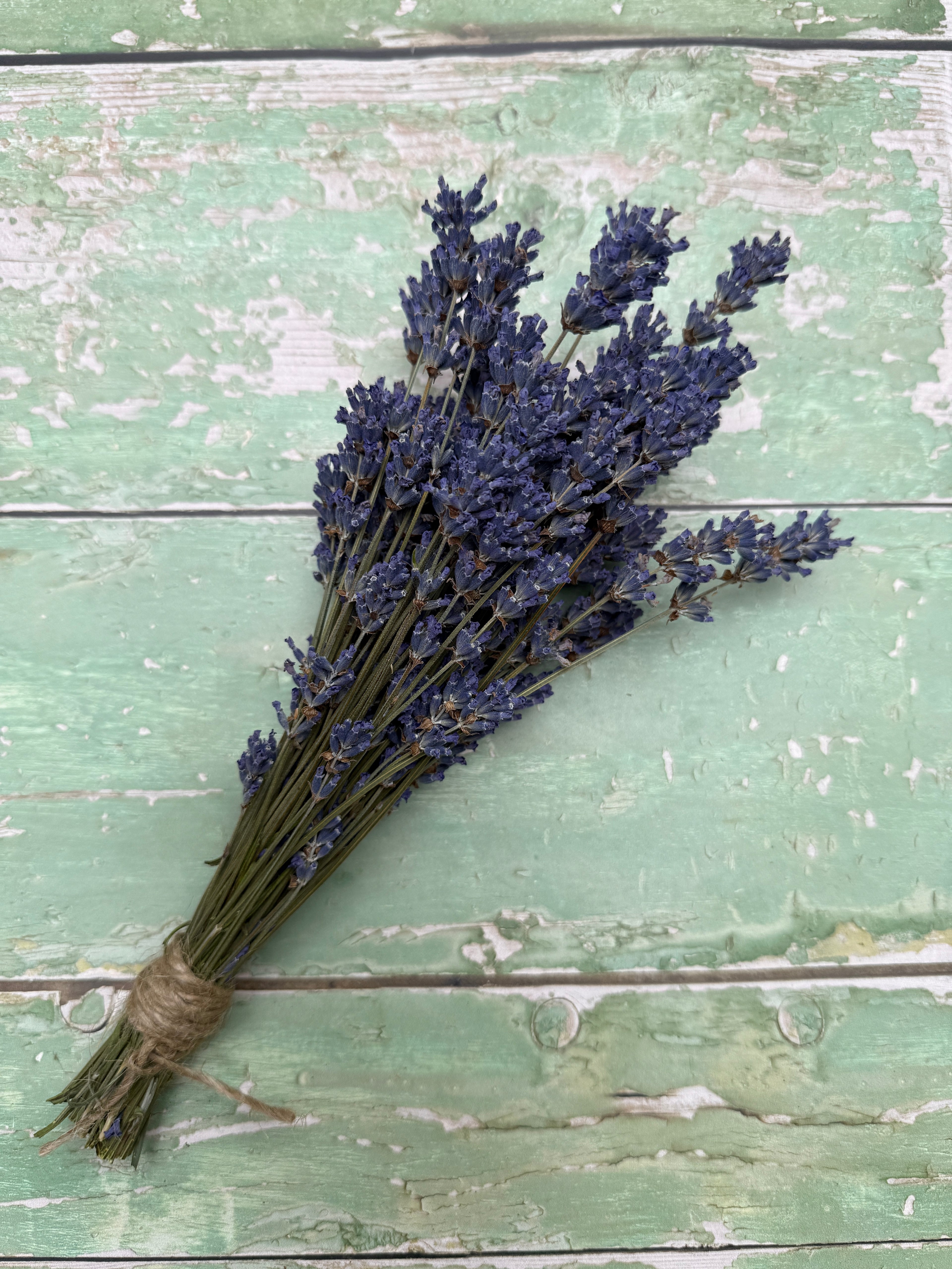 Lavender Dried (Small)