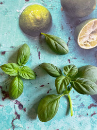 Bishy Barnabees Cottage Garden Ltd’s Basil Thai Large Leaf is displayed on a turquoise surface with a textured background, accompanied by a whole and halved lime for vibrant contrast.