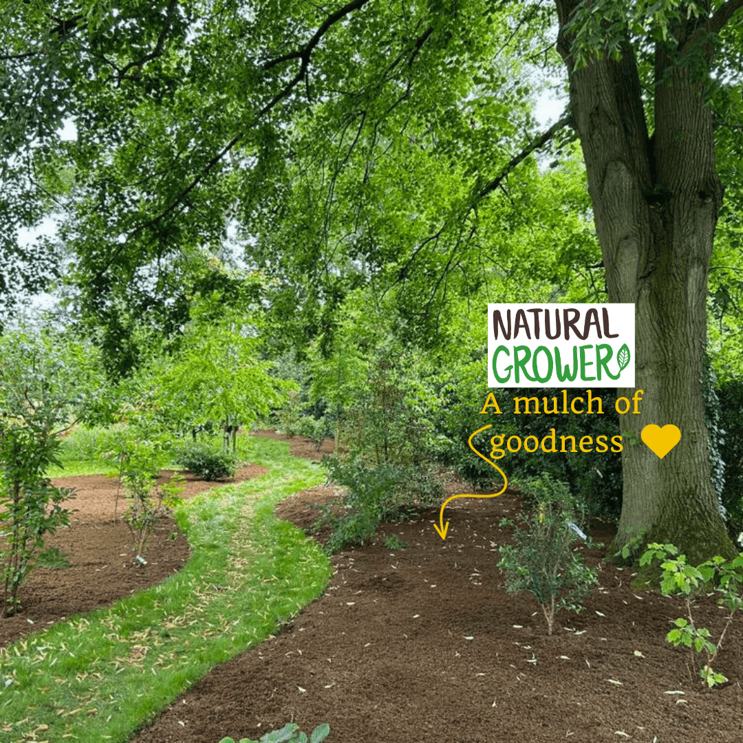 Garden path with trees and a sign that says &