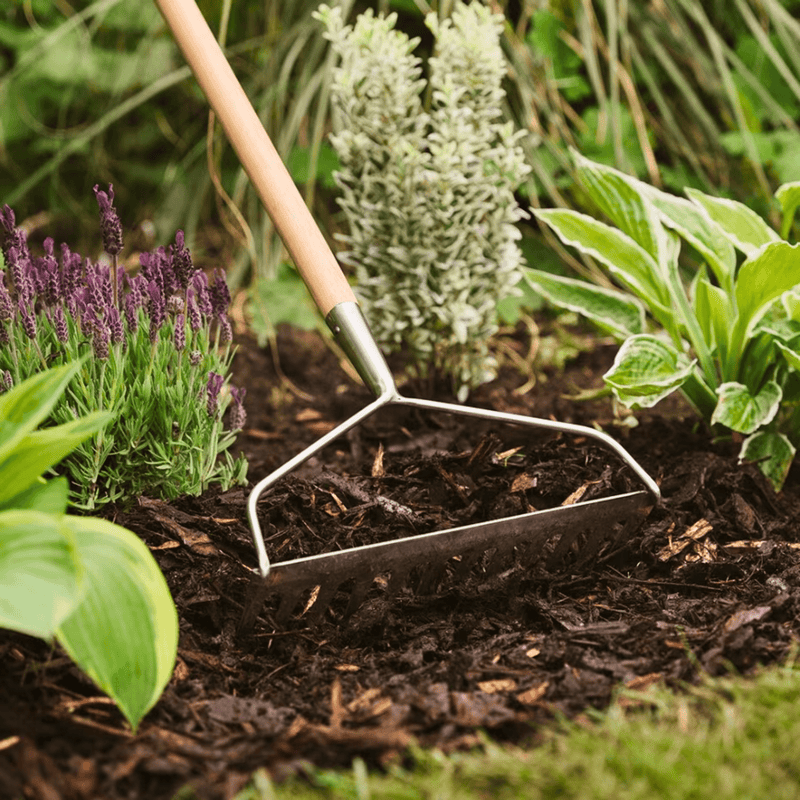 A garden hoe rests on rich Landscaping Garden Bark Mulch from Dandy's Topsoil & Landscape Supplies, set in a bed of green and purple leafy plants for a lush, beautifully landscaped scene.