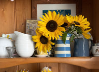 A wooden shelf displays Sunflower Waooh! by Bishy Barnabees Cottage Garden Ltd—a blue jug with bright yellow sunflowers—alongside a white pitcher, striped jug, and framed art, creating a cozy, colorful scene against a warm backdrop.