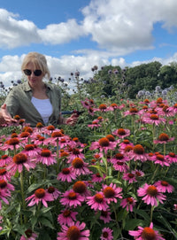 A woman in sunglasses and a green shirt stands among blooming Echinacea Purple Coneflower from Bishy Barnabees Cottage Garden, gently touching the flowers beneath a partly cloudy sky.