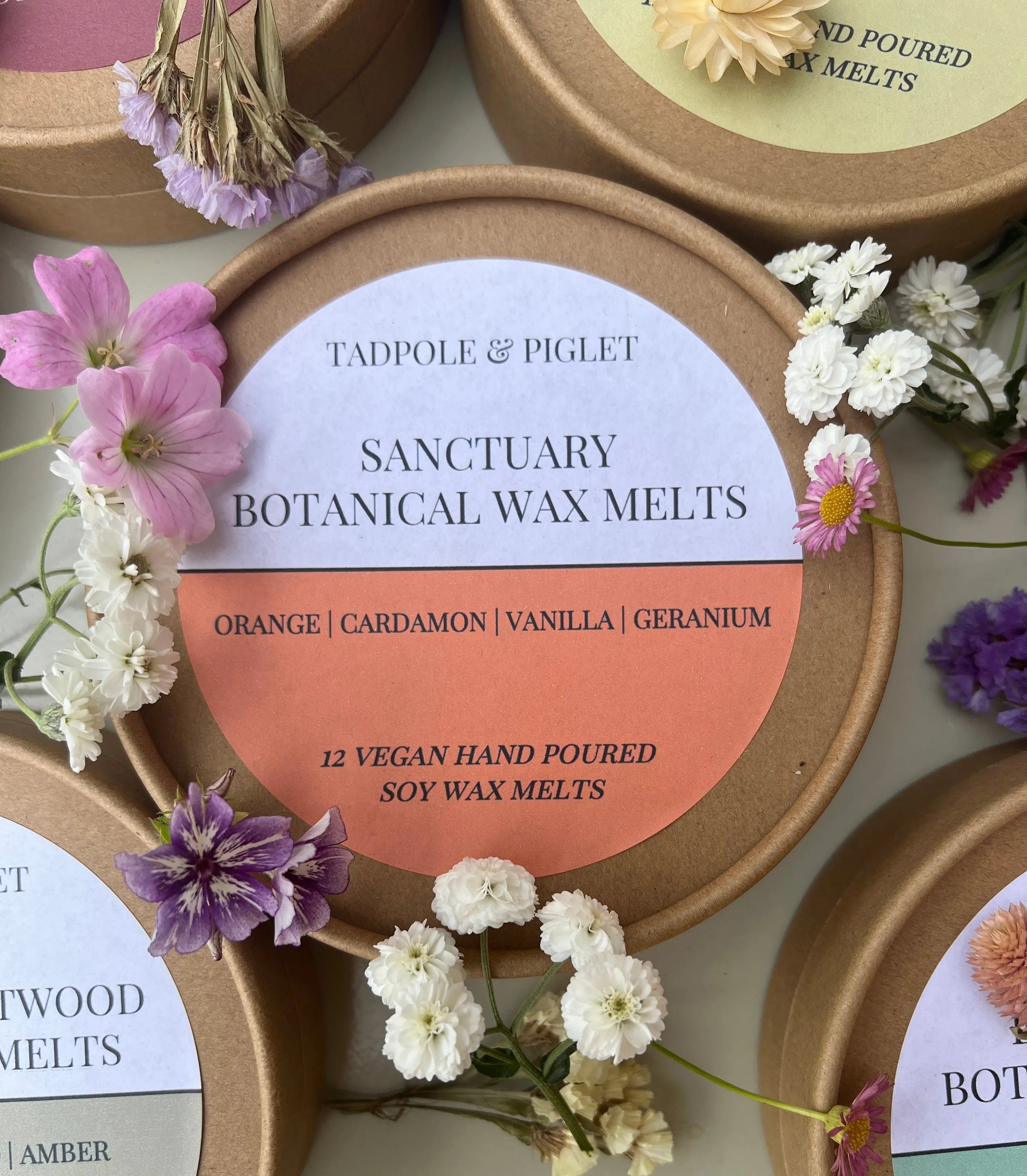 Sanctuary Botanical Wax Melts - Bishy Barnabees Cottage Garden Ltd