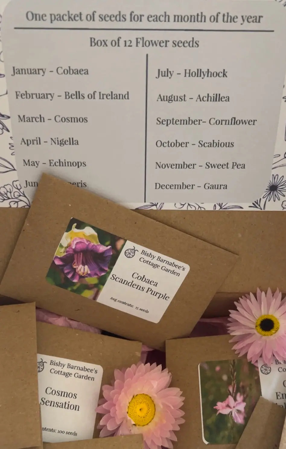 Box of flower seeds with labels and a list of flower names on a floral background