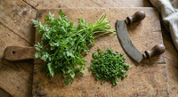 Fresh green herbs on a wooden cutting board with a knife