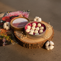 A round tin of Tadpole & Piglet’s Havana Nights Botanical Wax Melts displays white floral melts on pink paper atop a wooden slice, accented by cotton bolls and baby’s breath in warm sunlight—an inviting unisex home fragrance scene.