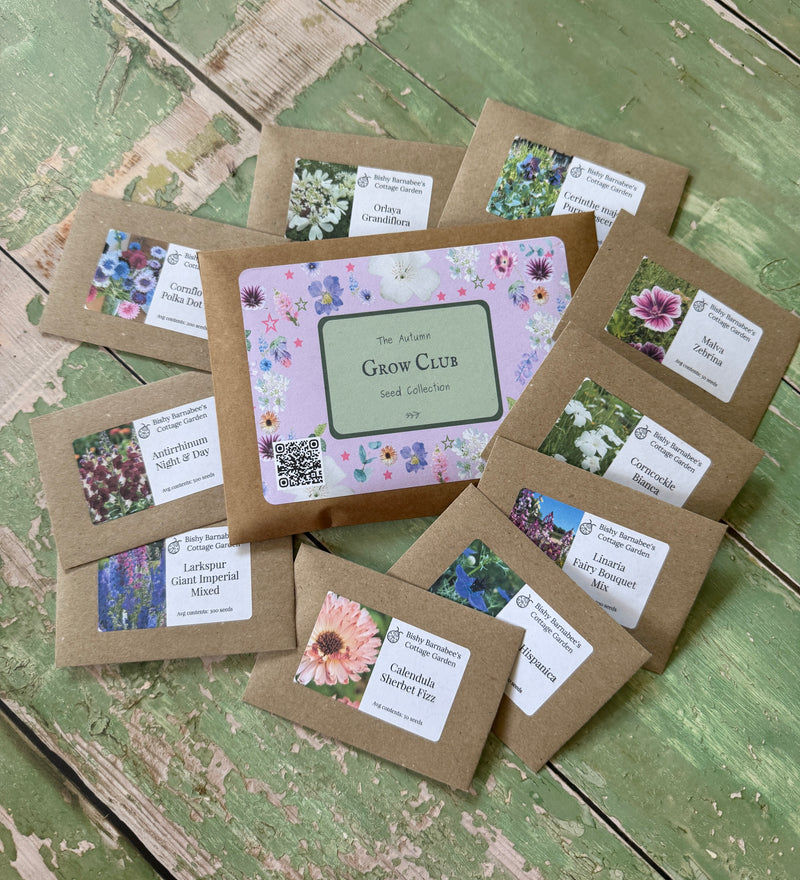 The Autumn Seed Collection