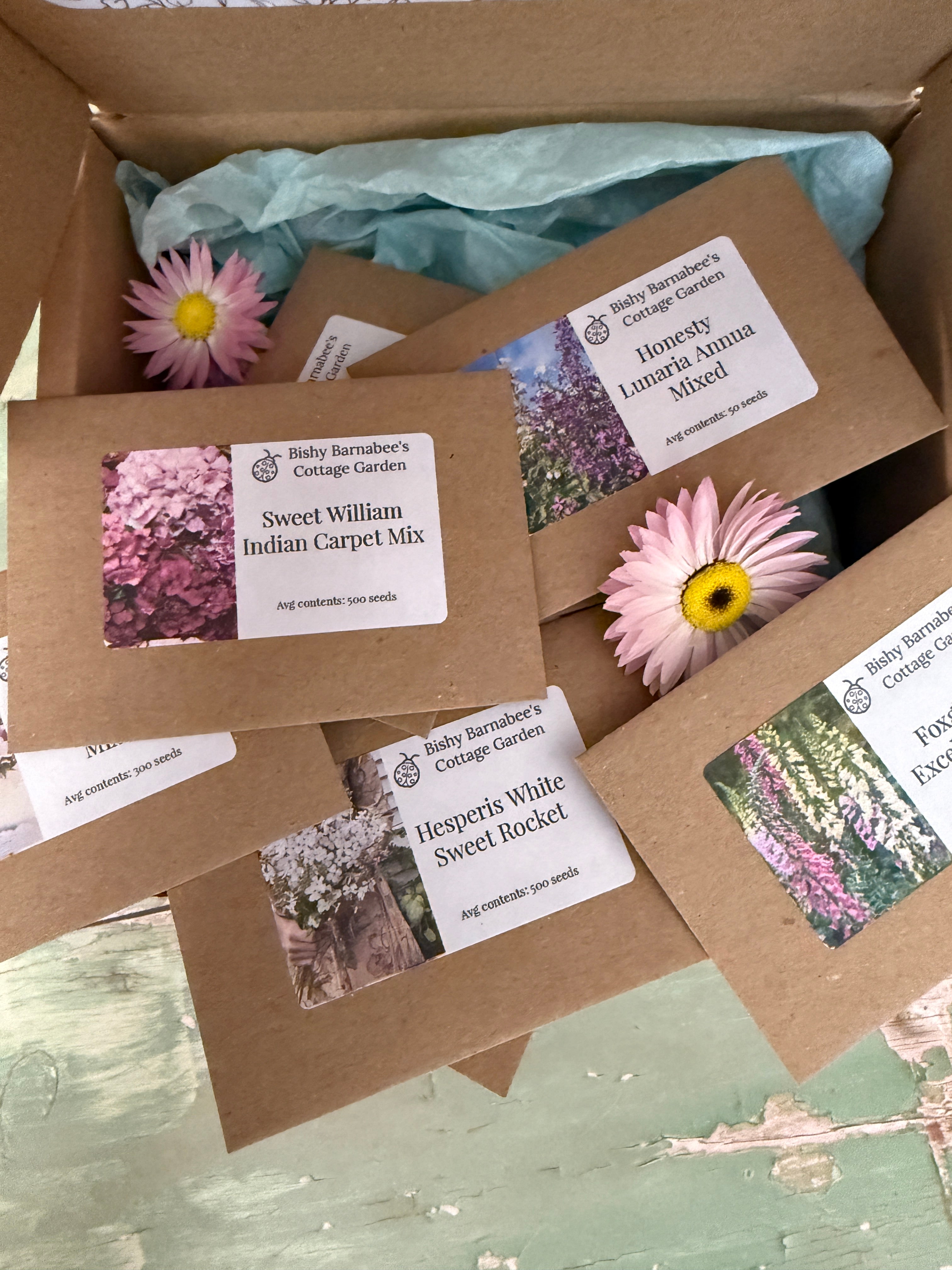 The Biennial Cottage Garden Flower Box