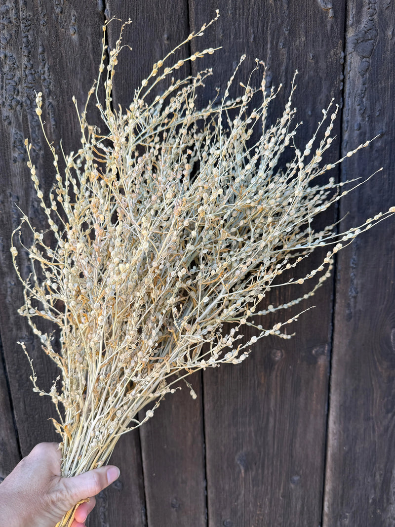 A hand holds a bundle of Lepidium sativum Dried by Bishy Barnabees Cottage Garden Ltd with light-colored wildflowers, set against a dark wooden background.