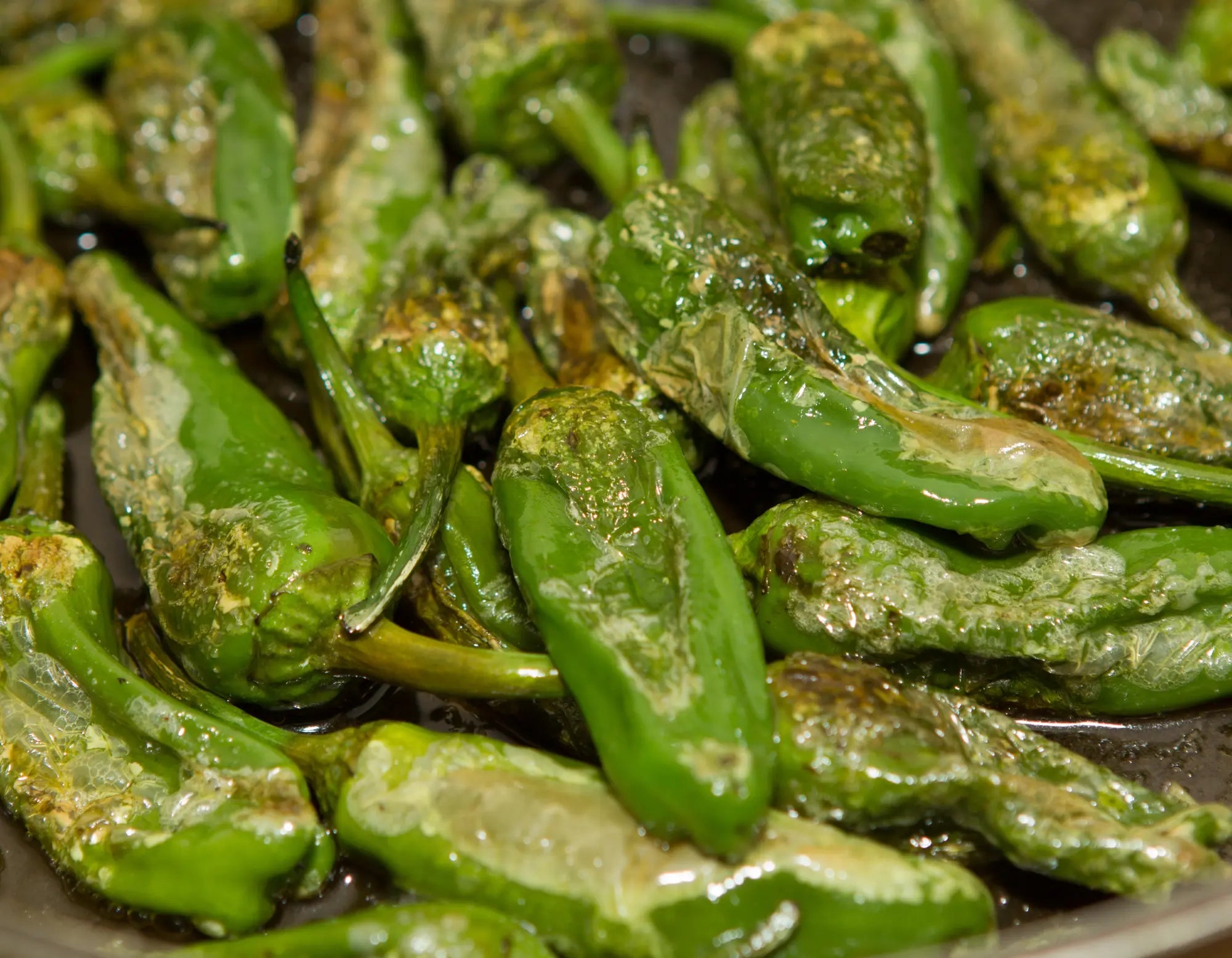 Pimientos di Padron Chilli - Bishy Barnabees Cottage Garden Ltd