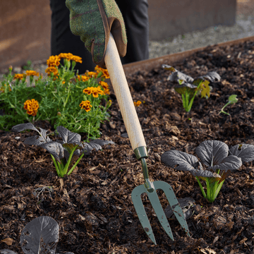 Burgon & Ball RHS BoronGreen Mid-Handled Fork