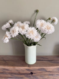A Bishy Barnabees Cottage Garden "Cornflower Snowman" vase, filled with fluffy white double blooms, sits on a wooden surface against a plain light wall.