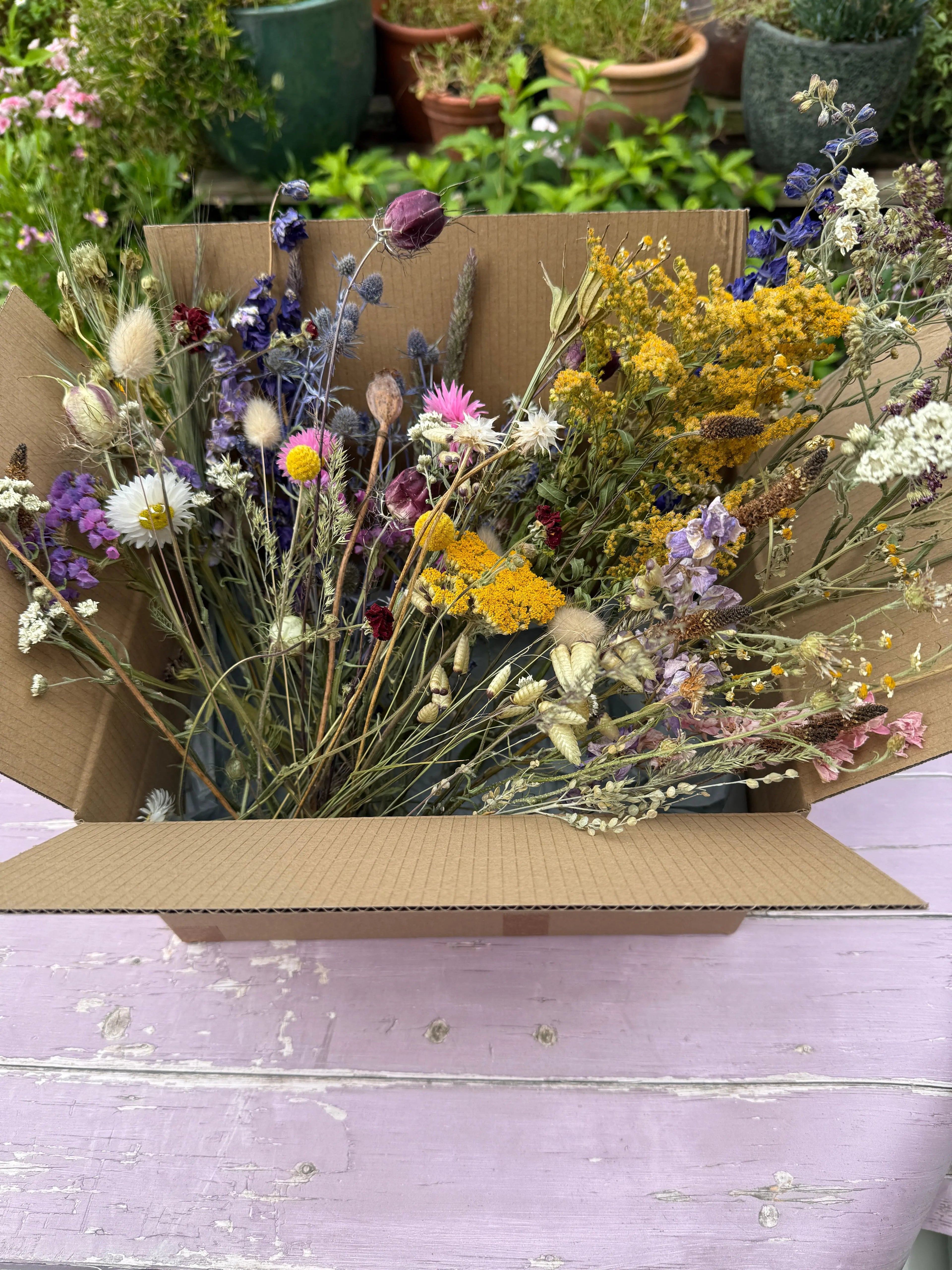 Dried Flower Craft Box - Bishy Barnabees Cottage Garden Ltd