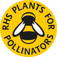 A yellow circular badge with a black and white bee illustration, ringed by "RHS Plants for Pollinators" in bold black, is perfect for showcasing Bishy Barnabees Cottage Garden Hollyhock Summer Carnival seeds.