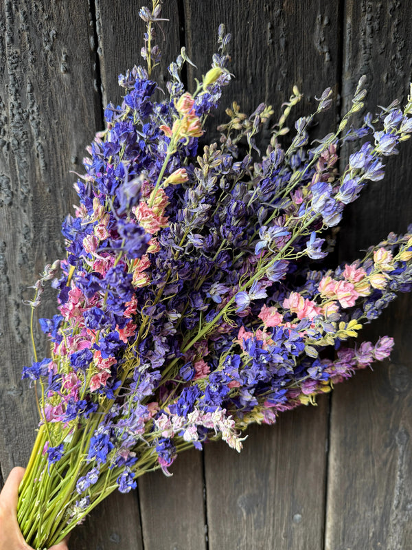 A hand holds Bishy Barnabees Cottage Garden Ltd's Larkspur Dried in purple, blue, and pink shades against a dark wood background—ideal as natural wedding confetti.