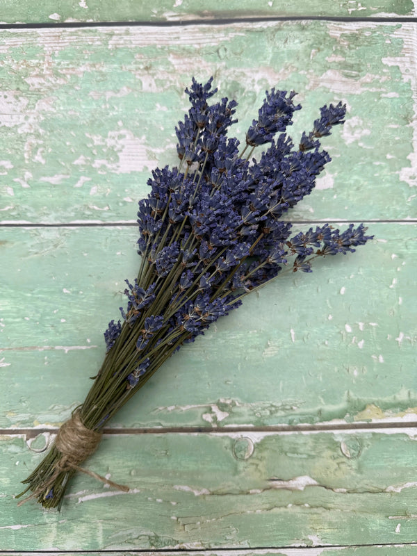 The Lavender Dried (Small) by Bishy Barnabees Cottage Garden Ltd is a fragrant English lavender bunch, tied with twine and ideal as a natural room fragrance, shown here on a mint green distressed wooden surface.