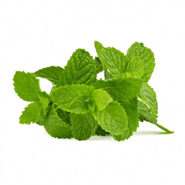 Mint Lemon - Bishy Barnabees Cottage Garden Ltd