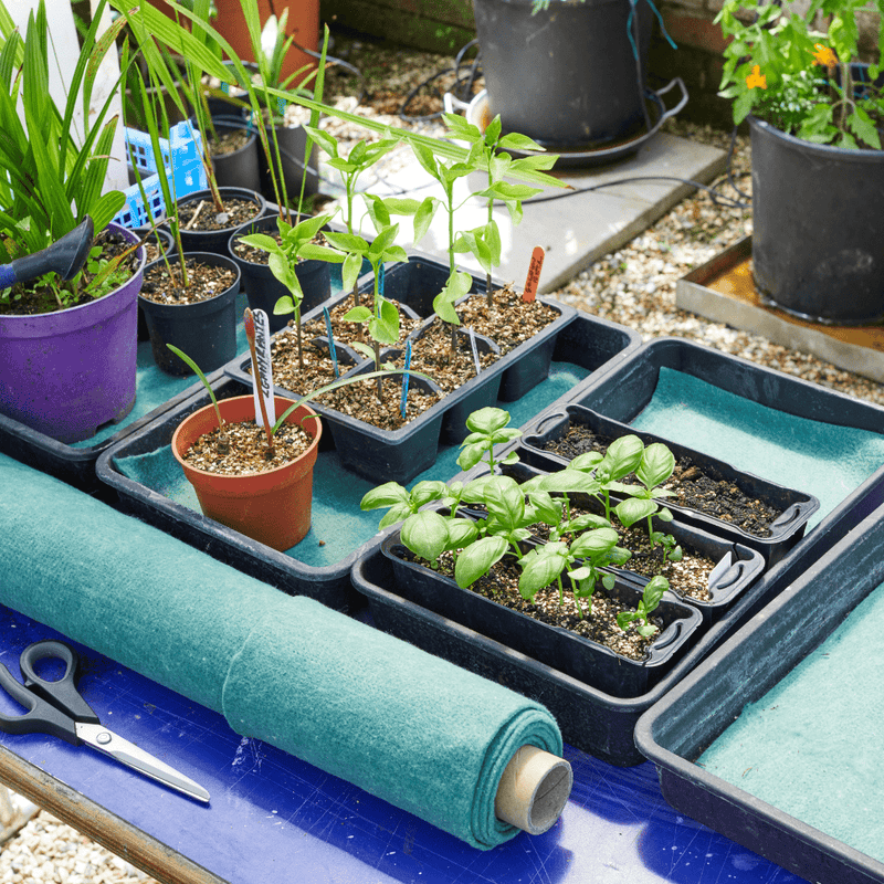 Moisture Matting, Green, 0.6 m x 2.4 m