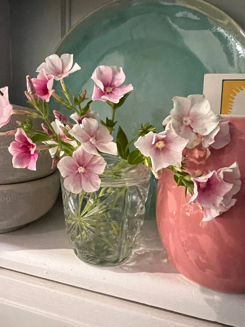 A small glass jar displays fragrant Bishy Barnabees Cottage Garden Phlox Blushing Bride on a white shelf, beside a pink ceramic vase and stacked bowls, with a teal plate in the background.