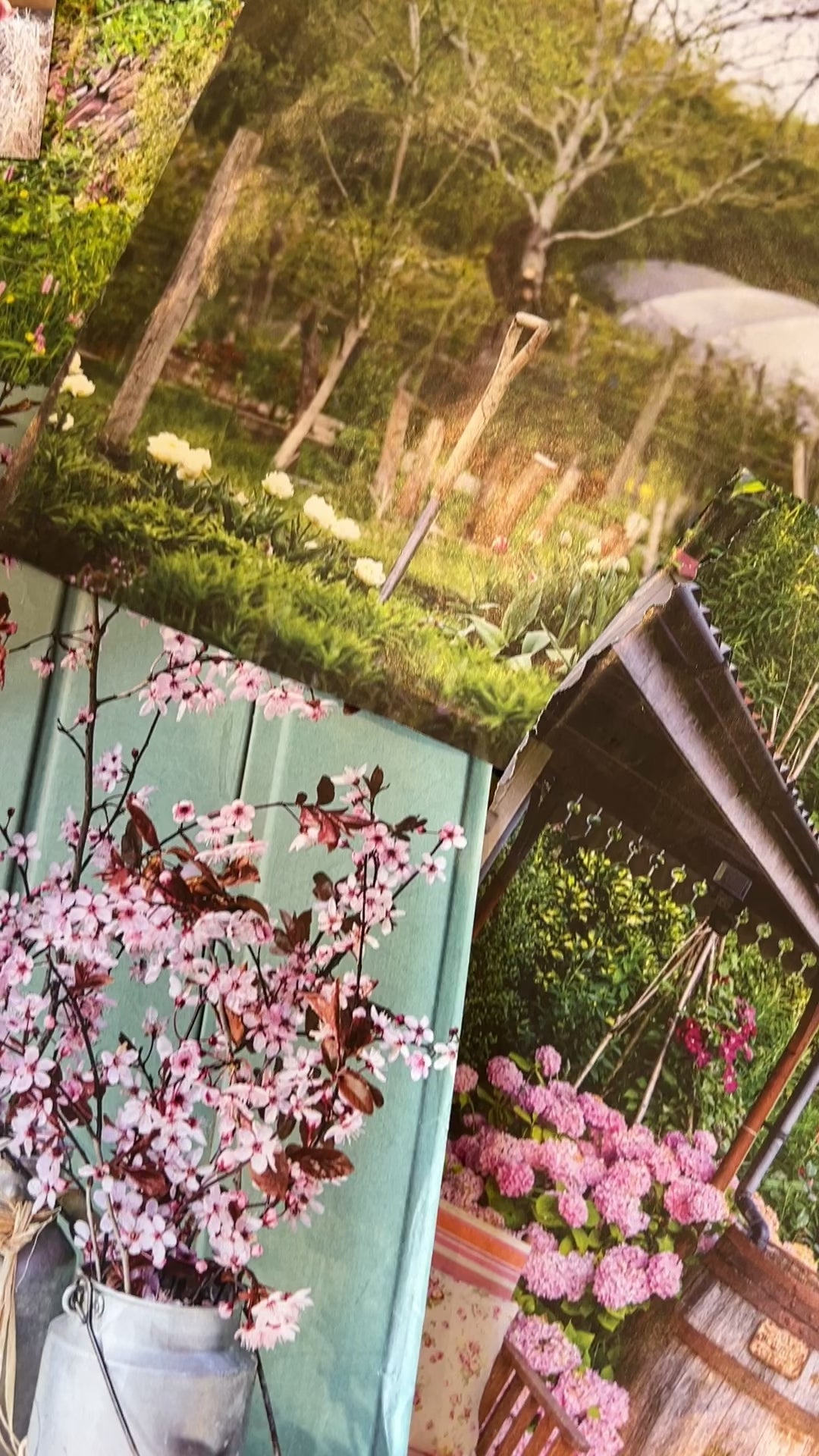 The Cutting Patch Beginners Flower Box