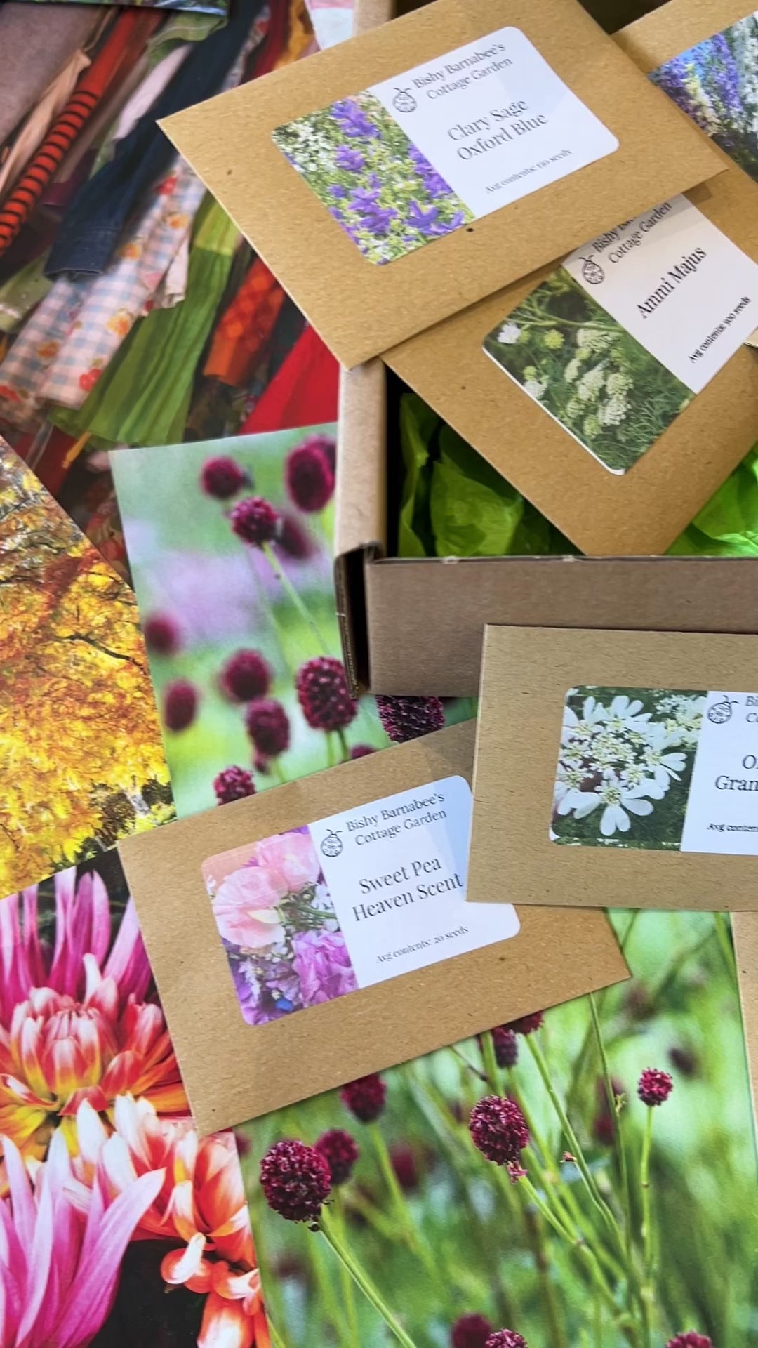 The Autumn Seed Sowing Flower Box