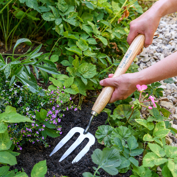 Burgon & Ball RHS Stainless Steel Mid-Handled Fork