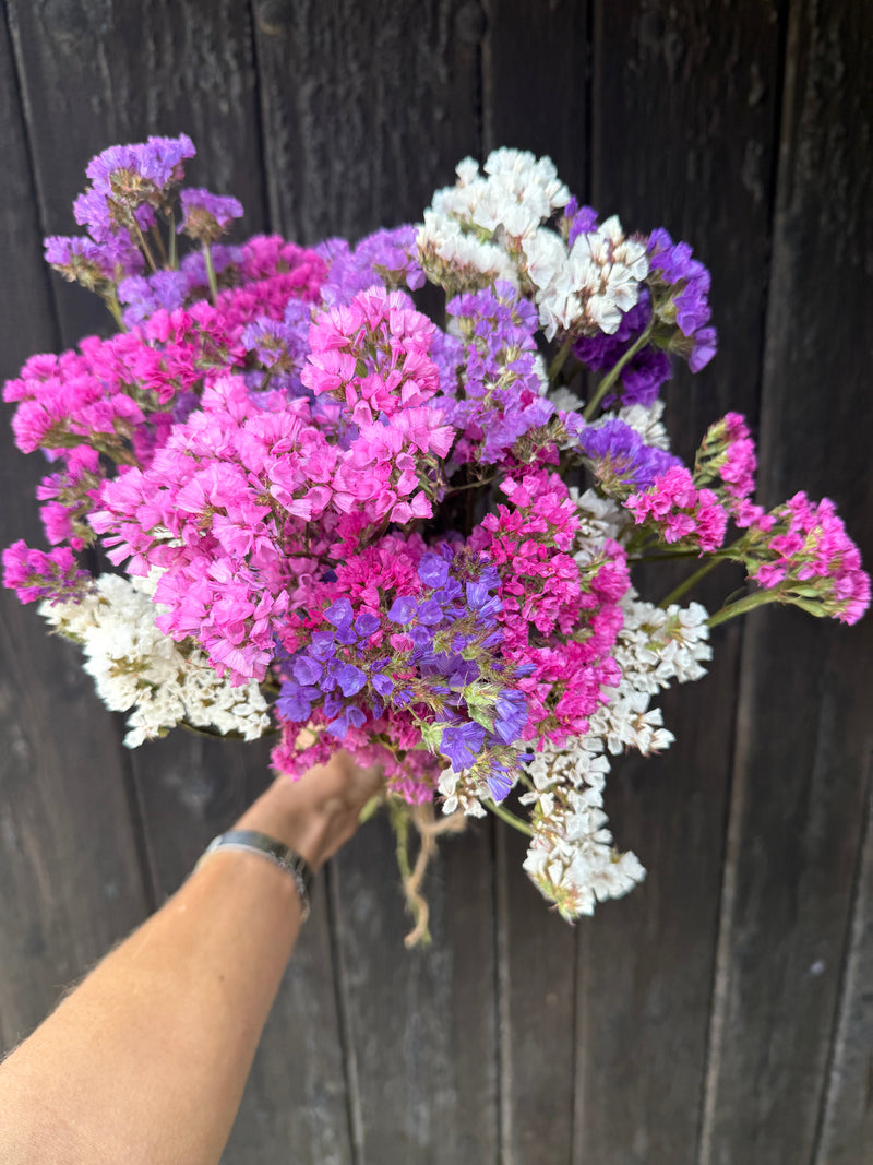 A hand holds a bouquet of Bishy Barnabees Cottage Garden Statice Dried flowers in pink, purple, and white shades against a dark wooden background.