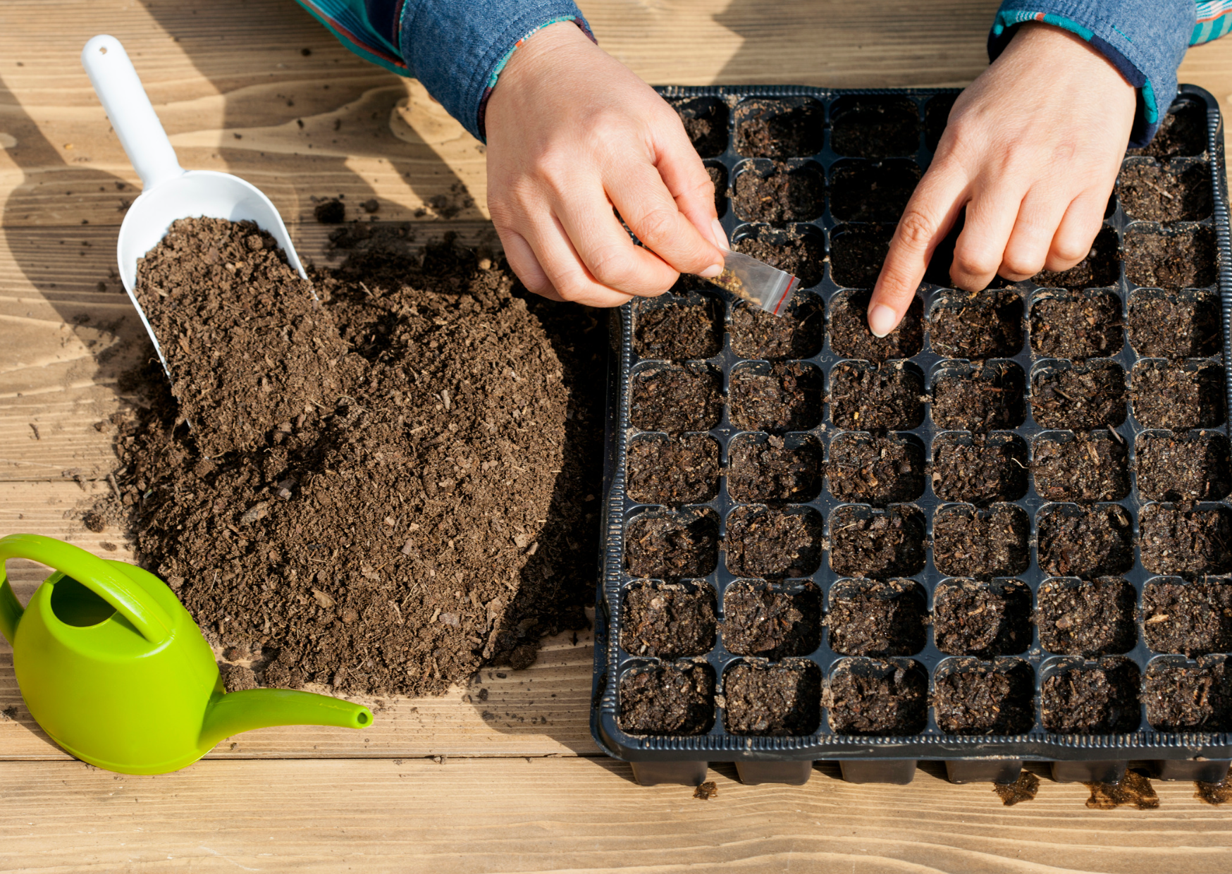 What to Sow in June