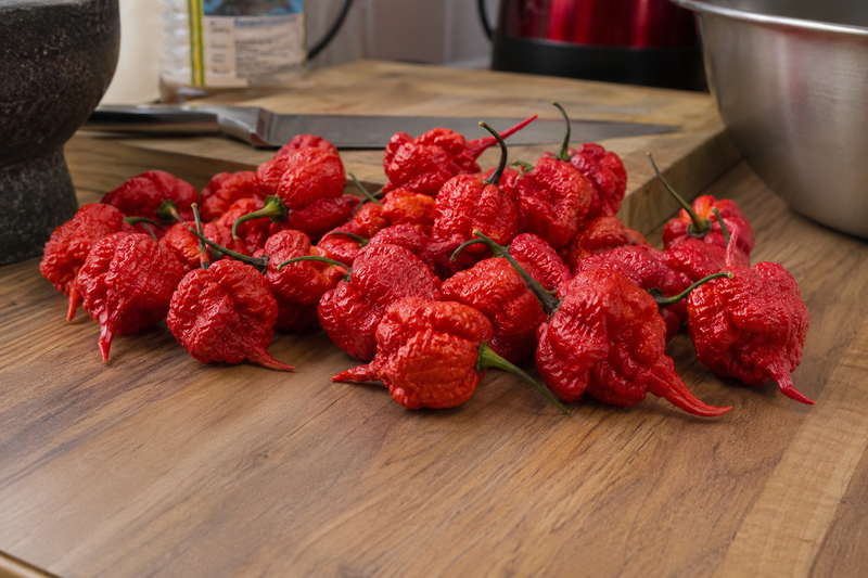 Ripe Carolina Reaper chillies