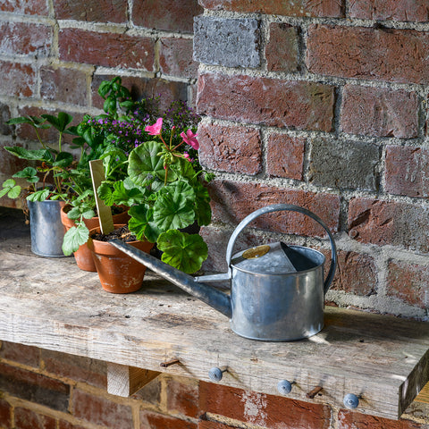 A galvanised greenhouse watering can