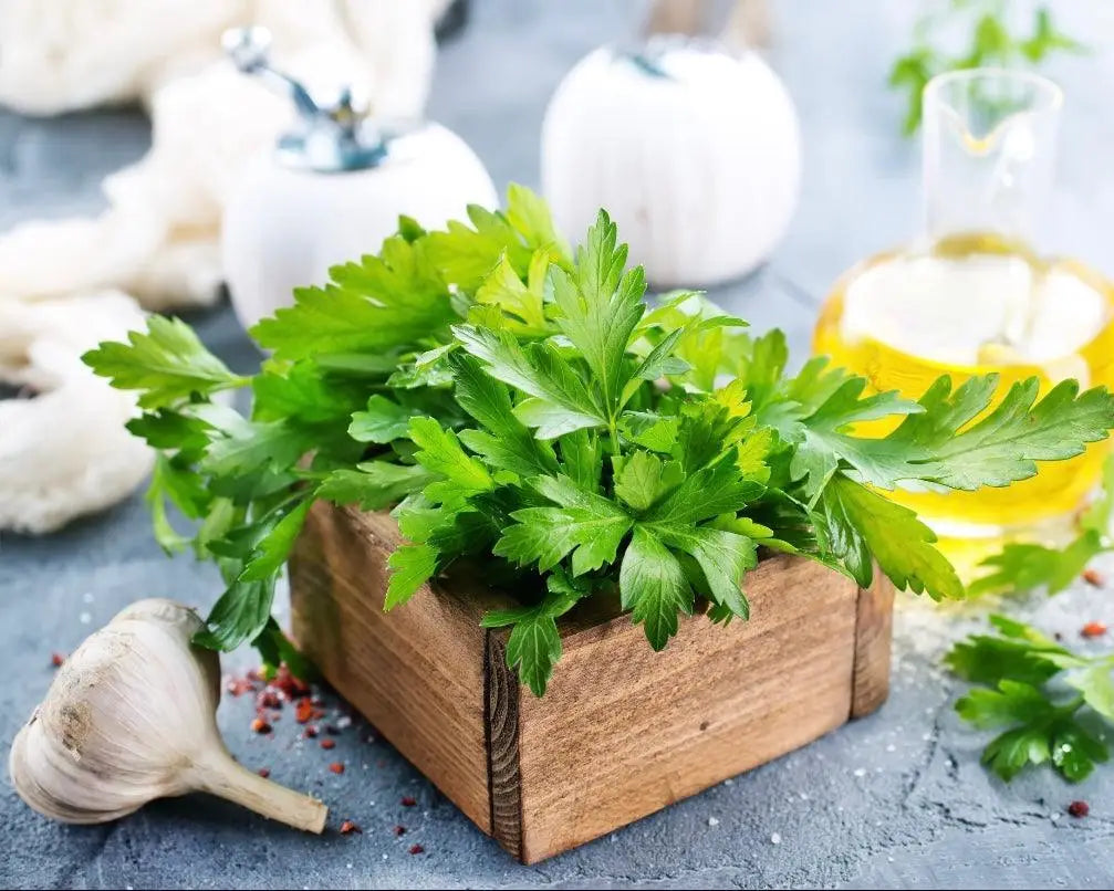 Fresh parsley in a wooden box with garlic and olive oil, perfect for enhancing culinary dishes and home cooking.