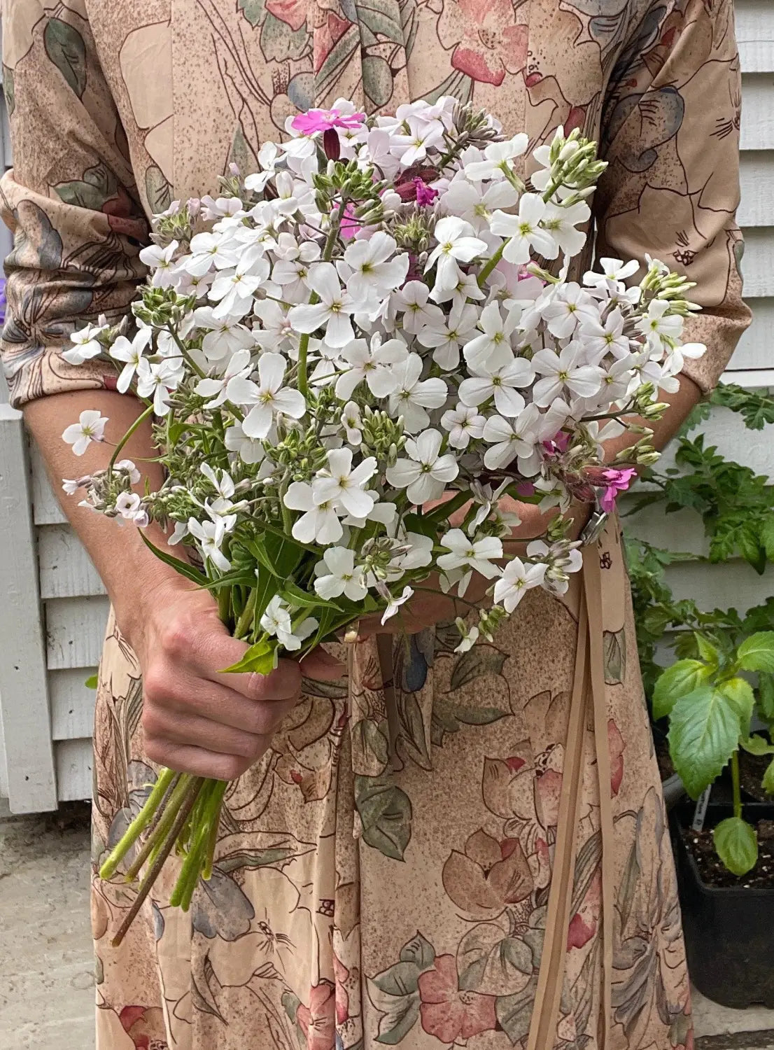 Person holding a vibrant bouquet of white and pink flowers, wearing a floral patterned dress, with green plants in the background.