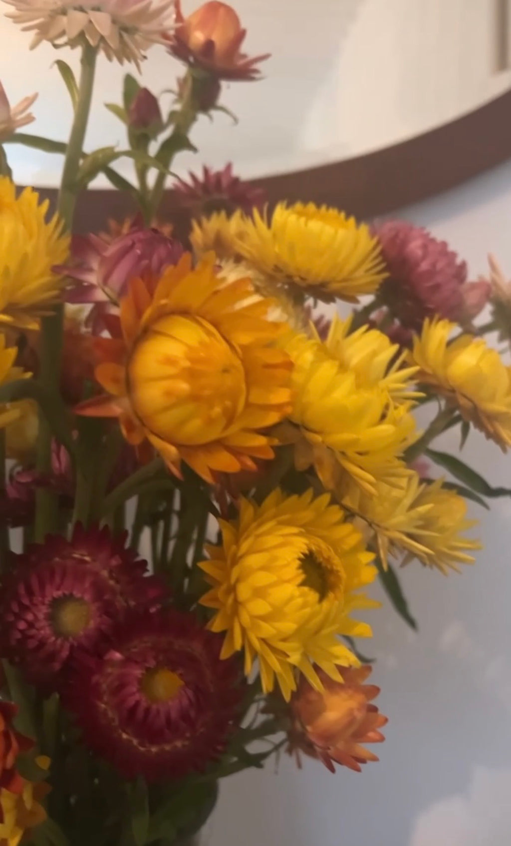 The Strawflower Helichrysum Swiss Giant Mix by Bishy Barnabees Cottage Garden features everlasting blooms in vibrant yellow, orange, and magenta, displayed in a vase with a blurred mirror and white wall as the backdrop.