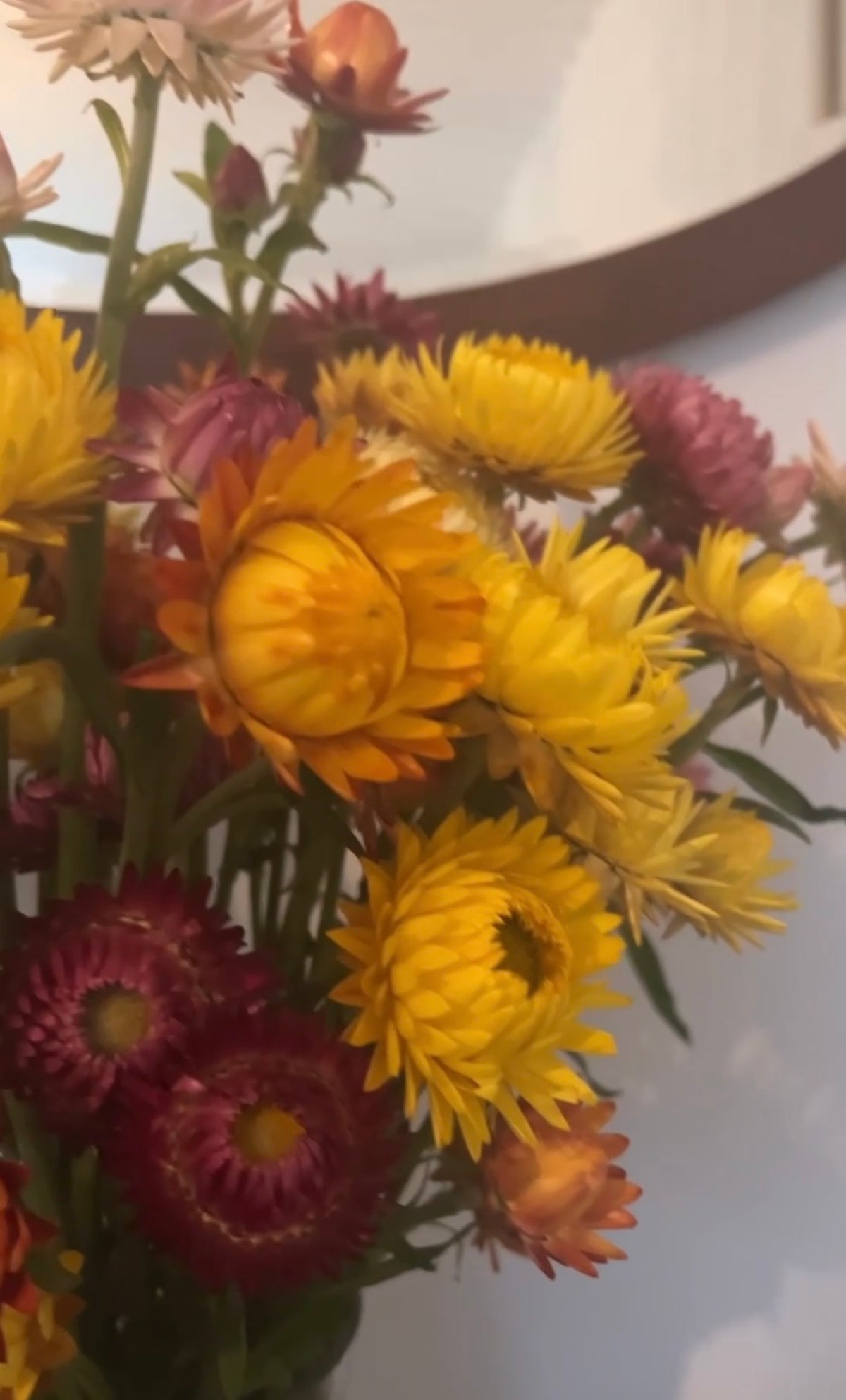 The Strawflower Helichrysum Swiss Giant Mix by Bishy Barnabees Cottage Garden features everlasting blooms in vibrant yellow, orange, and magenta, displayed in a vase with a blurred mirror and white wall as the backdrop.