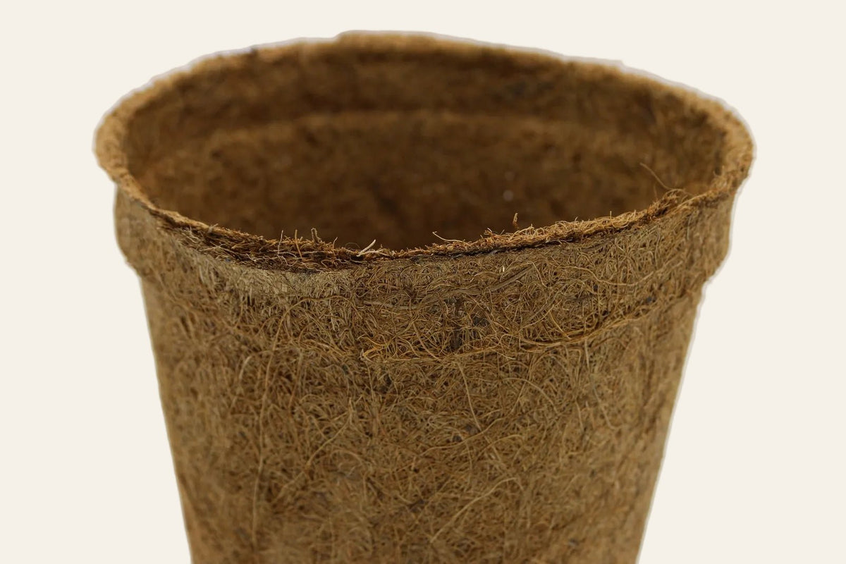 28cm Coir Plant Pots – 100% Biodegradable & Peat-Free