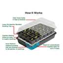 Garland 24-Cell Self-Watering Propagator | Standard Seed Kit