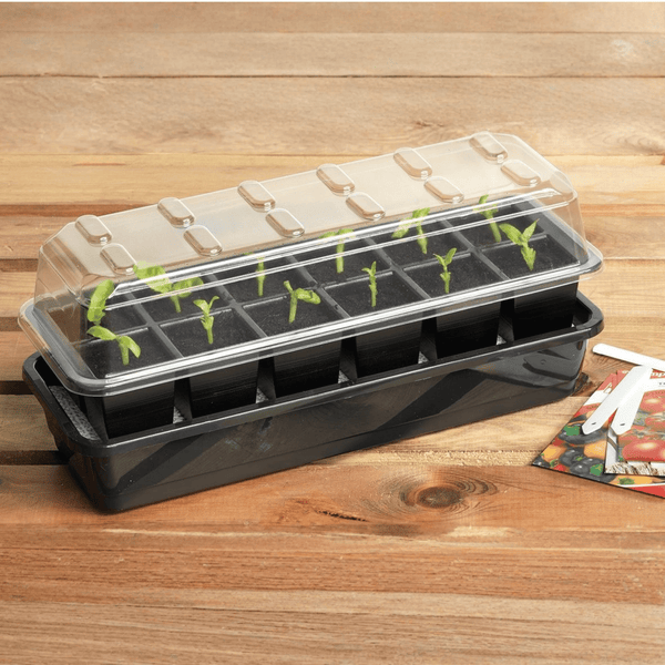 Garland 12 Cell Self Watering Seed Success Kit Propagator with Capillary Matting